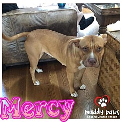Photo of Mercy (Cross-Post)
