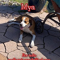 Photo of Mya