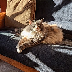 Photo of Freddie Harriet