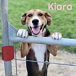 Photo of KIARA