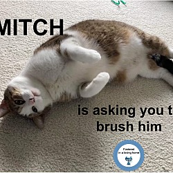 Photo of Mitch