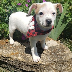 Photo of Maverick