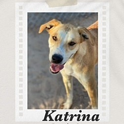 Photo of Katrina