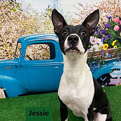 Photo of Jessie