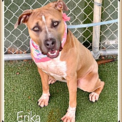 Thumbnail photo of ERIKA #1