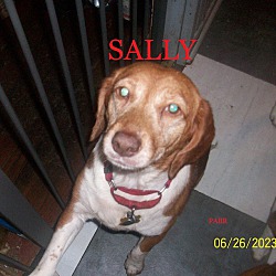 Thumbnail photo of SALLY #2