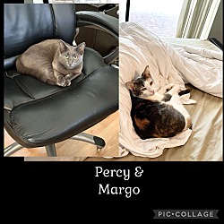 Photo of Percy & Margo