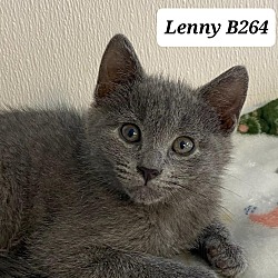 Photo of Lenny B264