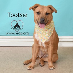 Thumbnail photo of Tootsie #2