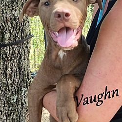 Photo of Vaughn ~ meet me!