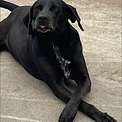 Photo of William - Fun loving boy!