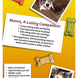 Thumbnail photo of Munro #3