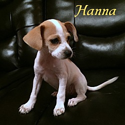 Thumbnail photo of Hanna #2