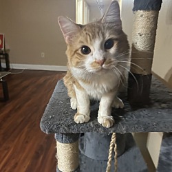 Photo of Fynn