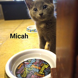 Thumbnail photo of Micah #1