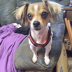 Photo of Sterling