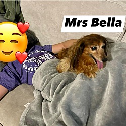 Thumbnail photo of Mrs Bella #2