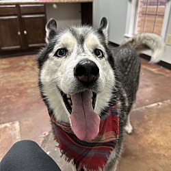 Photo of Arya