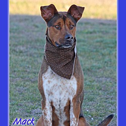 Photo of Mack