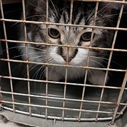 Photo of Kez 121238