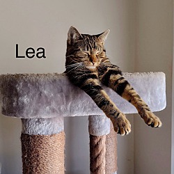 Thumbnail photo of Lea #1