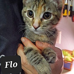 Thumbnail photo of Flo #4