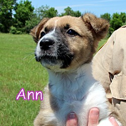 Thumbnail photo of Ann #1