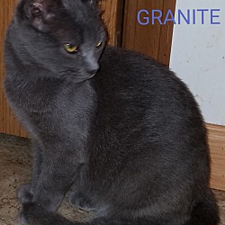 Thumbnail photo of GRANITE #3