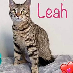 Photo of Leah