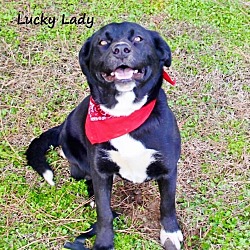Thumbnail photo of Lucky lady meet me 1/22 #1
