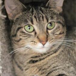 Thumbnail photo of Wilma #3