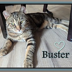 Thumbnail photo of BUSTER #2