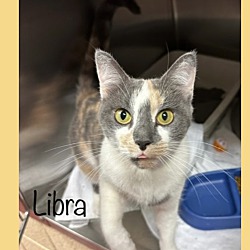 Thumbnail photo of LIBRA #2