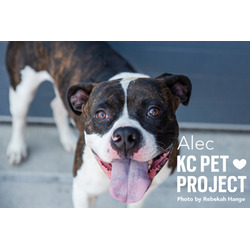 Thumbnail photo of Alec #2