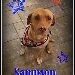 Thumbnail photo of Sampson #3