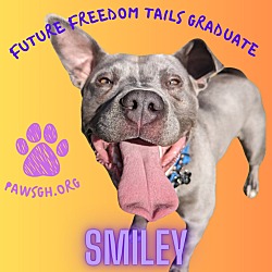 Thumbnail photo of Smiley #2