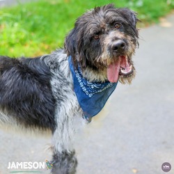 Thumbnail photo of Jameson #1