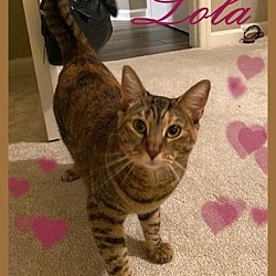 Photo of Lola