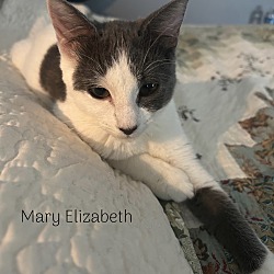 Photo of Mary Elizabeth