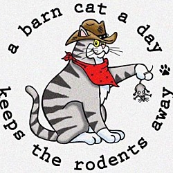 Photo of BARN CATS **Free Adoption Fees**