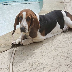 Photo of Bella