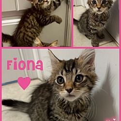 Thumbnail photo of Fiona #3