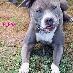 Thumbnail photo of Elena,major love #2