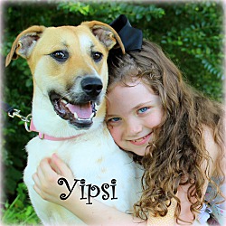 Thumbnail photo of Yipsi~adopted! #1