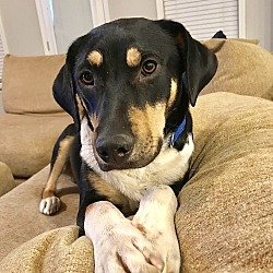 Photo of Wilson - Waiting for YOU!