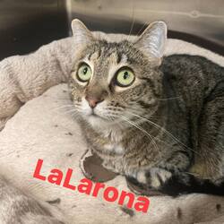 Photo of La LLorona