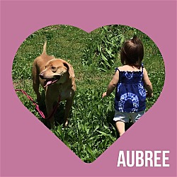 Thumbnail photo of Aubree #1