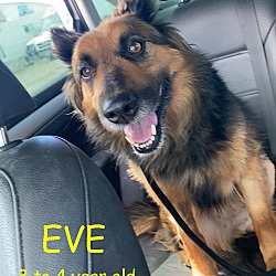 Photo of EVE