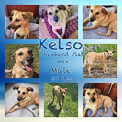 Thumbnail photo of Kelso (in NE) #3