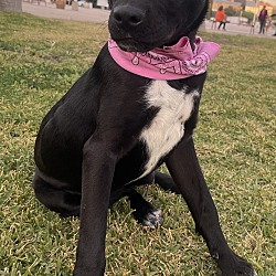 Photo of AMY
